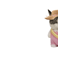 Cat Sticker Sticker
