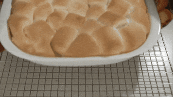 Hungry Pumpkin GIF by Amy Lynn's Kitchen