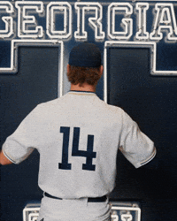 Georgia Tech Baseball GIF by Georgia Tech Yellow Jackets