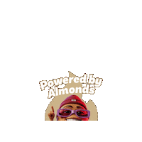 Almond Sticker by nutfruitpower