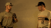 Mke GIF by Milwaukee Panthers
