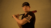 Mke GIF by Milwaukee Panthers