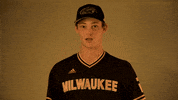 Mke GIF by Milwaukee Panthers