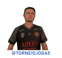 La Henrique Sticker by Torneio Joga 5