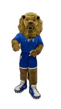 New York Hofstrau Sticker by Hofstra University