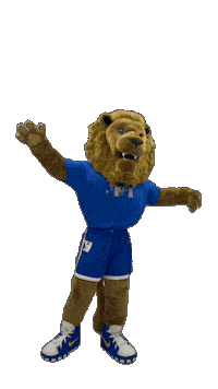 New York Hofstrau Sticker by Hofstra University