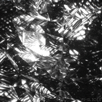 Conceal Black And White GIF by Pi-Slices