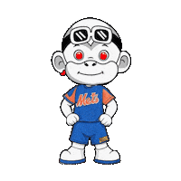 New York Mets Smile Sticker by Zhot