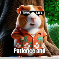 Wisdom Patience GIF by Guinea Gambino