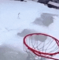 Basketball GIF