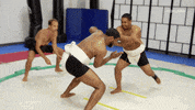 Fight Me GIF by JASPER & ERROL'S FIRST TIME