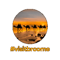Broome Visitor Centre Sticker by VisitBroome