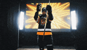 Hockey Ohl GIF by Brantford Bulldogs