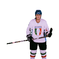 federazioneghiaccio hockey ice wintersport sportinvernali Sticker
