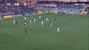 football soccer GIF by nss sports