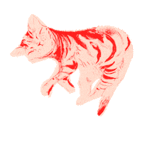 Illustration Cats Sticker