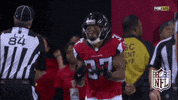 atlanta falcons no GIF by NFL