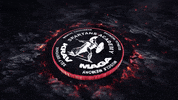 Self Defence GIF by Spartans Academy