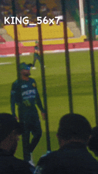 KING_56 thegoat babarazam zalmi peshawar zalmi GIF