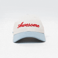 Awesome Head GIF by VeeFriends