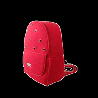 PazCifuentes pazcifuentesbags GIF