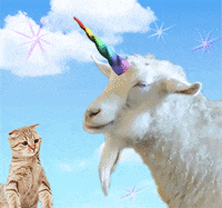 candy unicorn GIF by Trolli