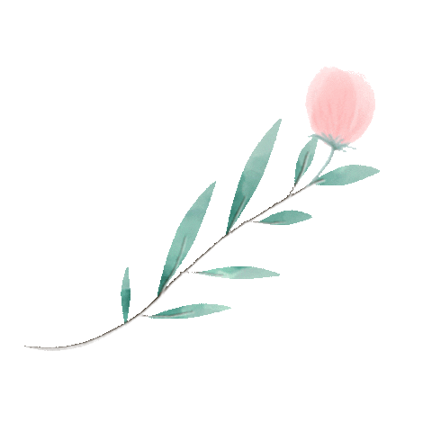 Wendy_design giphyupload bellflower campanule 桔梗 Sticker