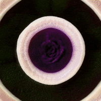 Art Love GIF