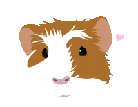 Pet Sticker by Watertown Humane Society