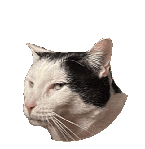 Sticker Side Eye Sticker