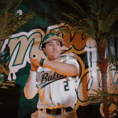 South Florida Baseball GIF by USF Athletics