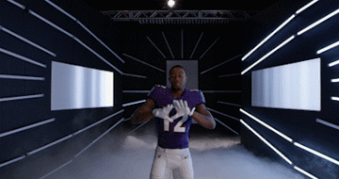 Dance Reaction GIF by Baltimore Ravens