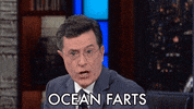 stephen colbert GIF by The Late Show With Stephen Colbert