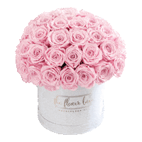 Happy Birthday Queen Sticker by The Flower Luxe