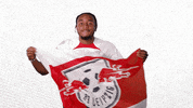 Oh Yeah Yes GIF by RB Leipzig