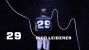 American Football GIF by Munich Ravens