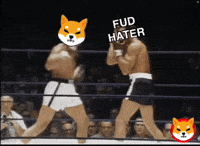 Shib Coin GIF by SHIB MEMES