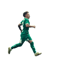 Rapid Wien Celebration Sticker by SK Rapid
