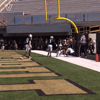 Sport Celebrate GIF by Vanderbilt Athletics