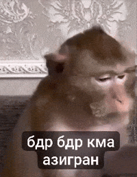 Morgon GIF