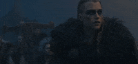 Shields Defend GIF by Assassin's Creed