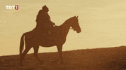 In Love Holiday GIF by TRT