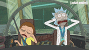 Season 3 Episode 6 GIF by Rick and Morty