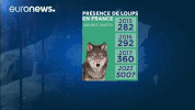 wolf data GIF by euronews