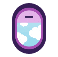 Plane Aviation Sticker by drinkwildwonder