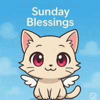 Good Vibes Peace GIF by Persona