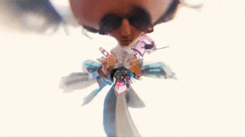 Fisheye View