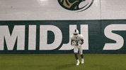 Bsubeaversfb GIF by Bemidji State Beavers