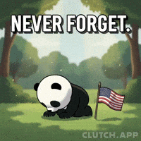 American Flag Panda GIF by Kanpai Pandas