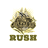 Rush Cheerleading Sticker by Chiltern Cheetahs